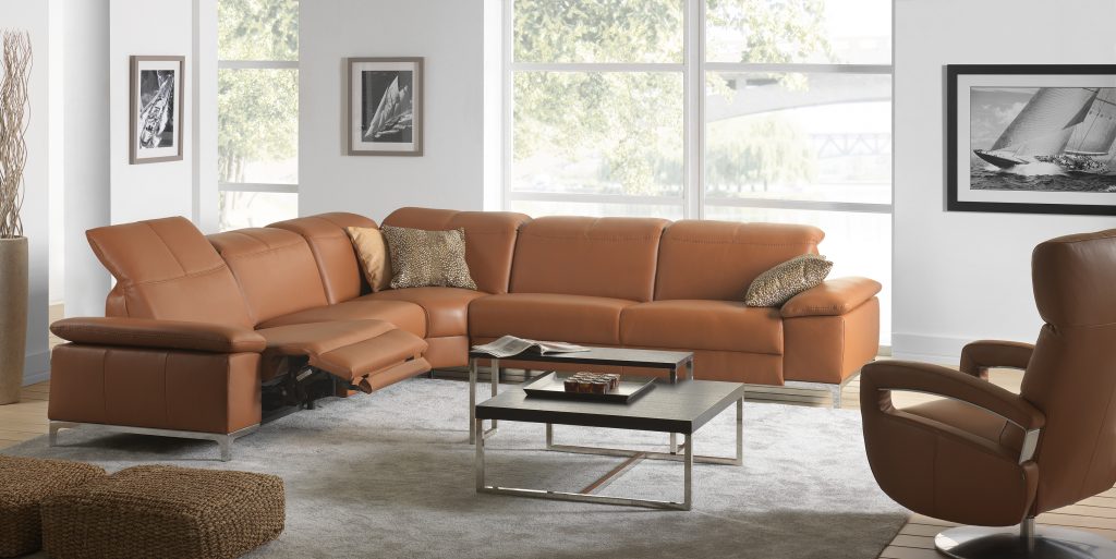 Chronos - Montana - Cognac